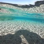 Fantasia A 100 M Dalla Vignola Mare