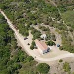 Fantasia A 100 M Dalla