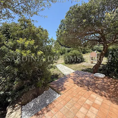 Fantasia 100 M From The With Private Parking * Vignola Mare