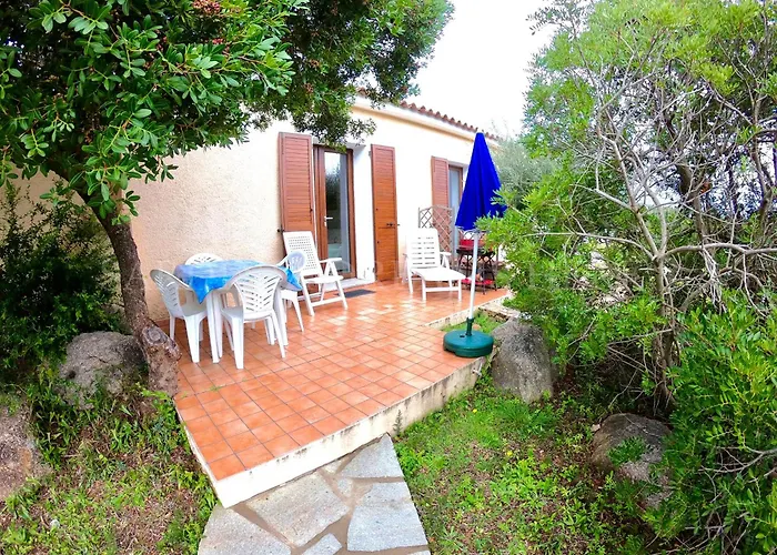 Fantasia A 100 M Dalla *